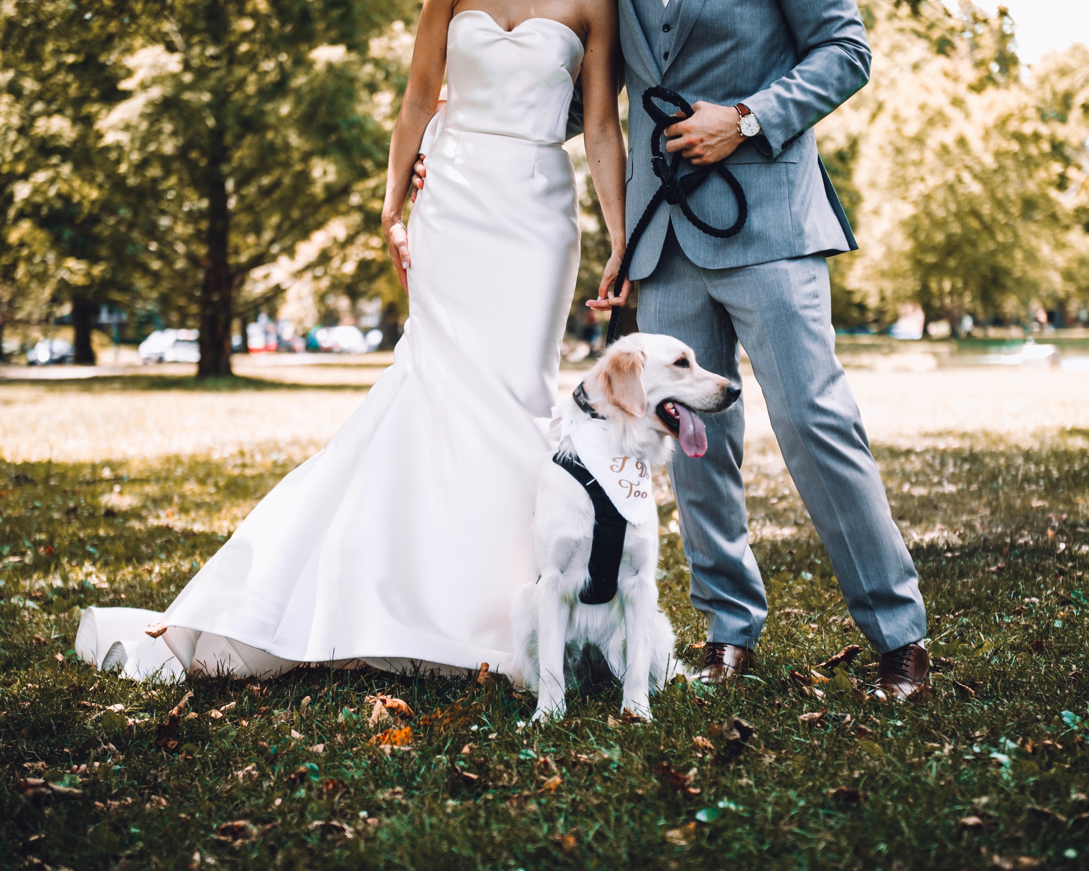 Best Wedding Dates - bride and groom include their dog in wedding