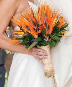 Bride holding bird of paradise bouquet