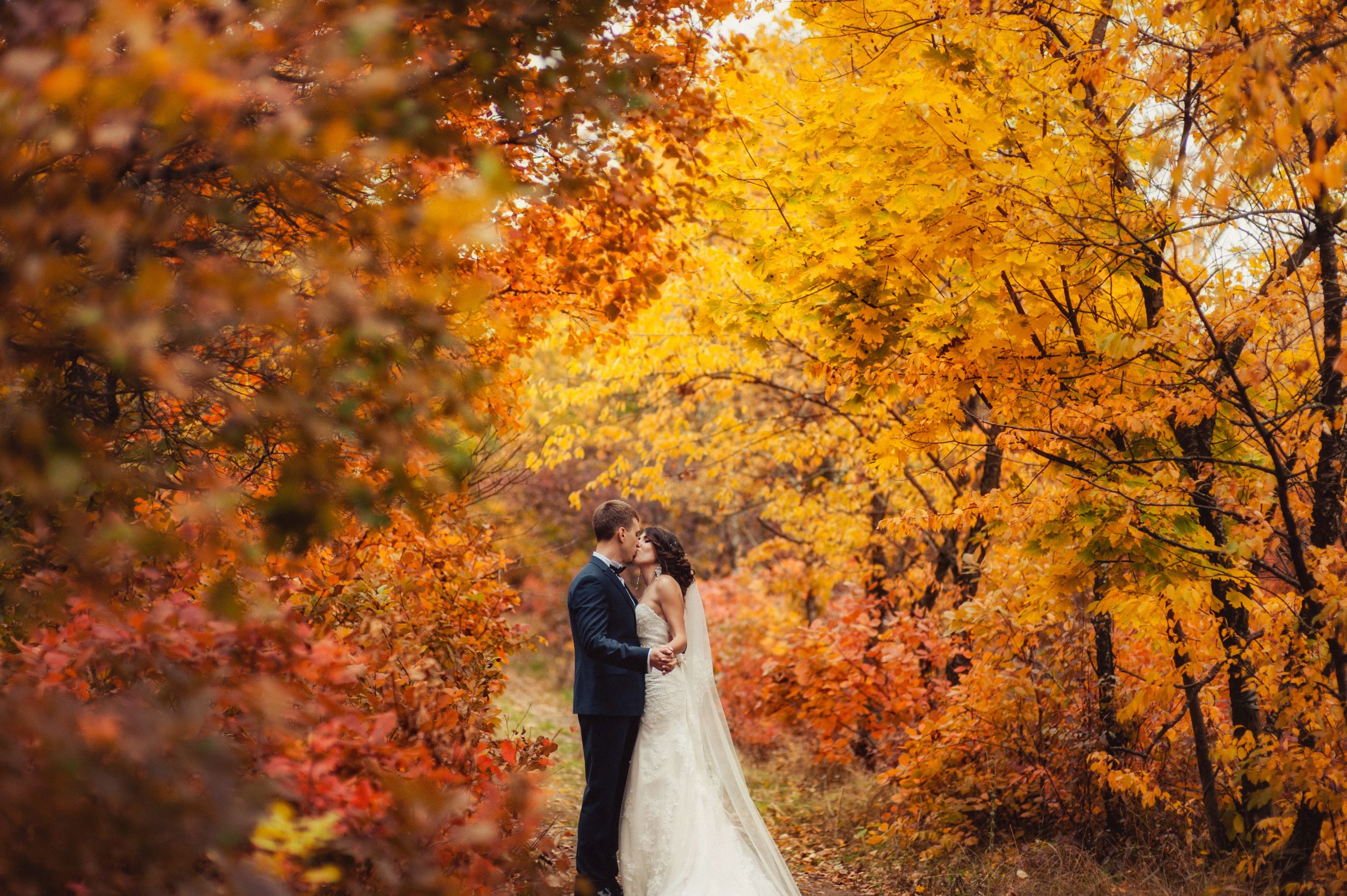bride in navy suit, kissing his bride, surrounded by trees in fall colors