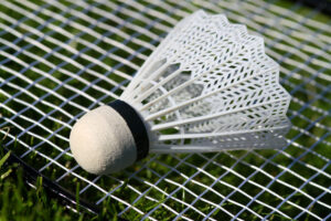 lawn games - Badminton racket and birdie