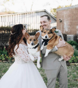 bride and groom holding their two corgis wearing ties as a part of their wedding party